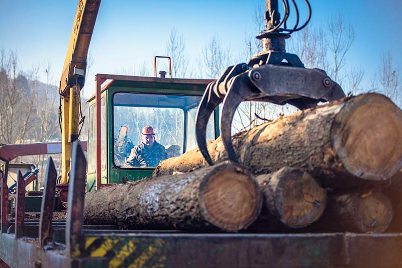 logger operating logging equipment under blue skies