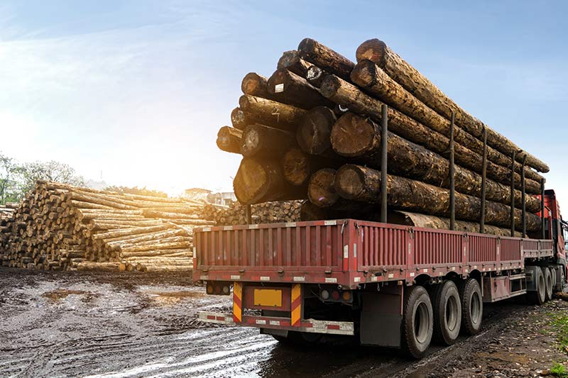 logging equipment financing