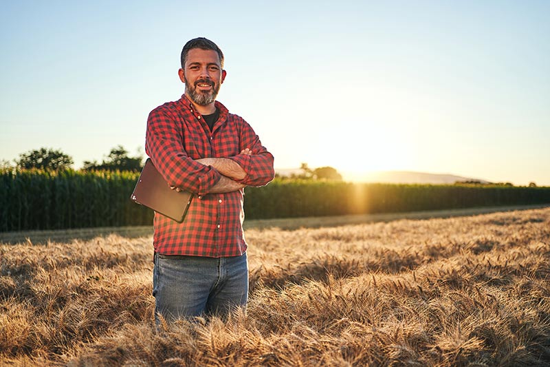 male agricultural business owner in a wheat field