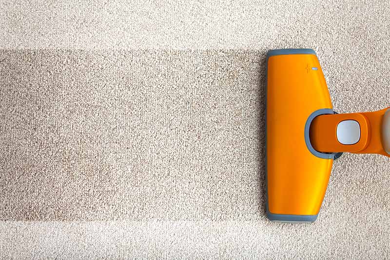 carpet cleaning business loans, loan for carpet cleaning business