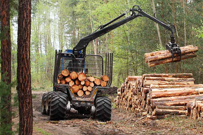 logging forwarder financing