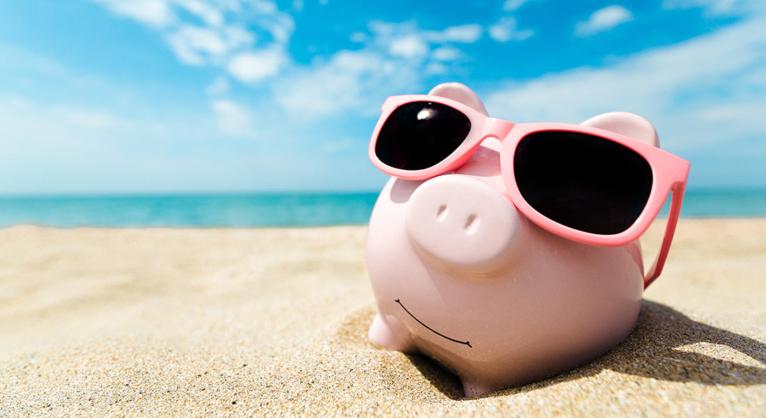 pig bank on the beach, what is net present value
