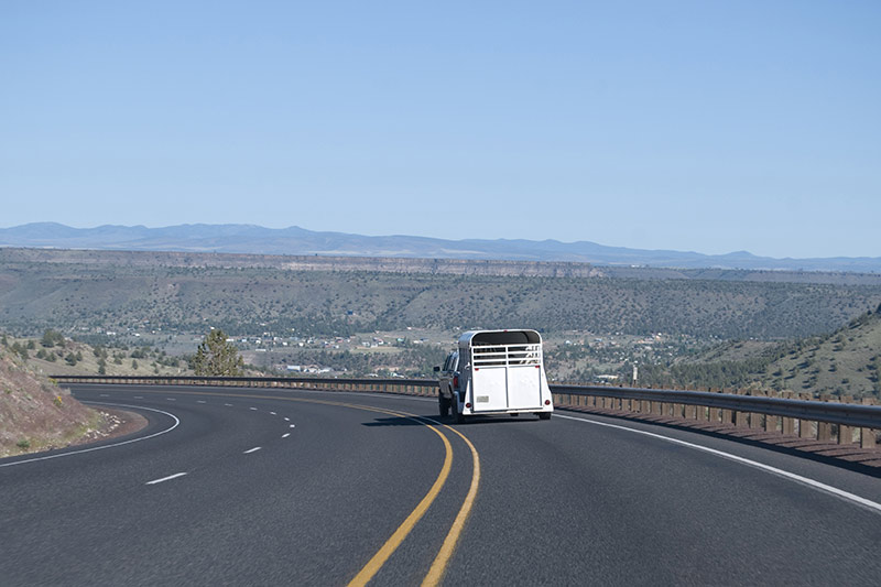 white horse trailer on the open road