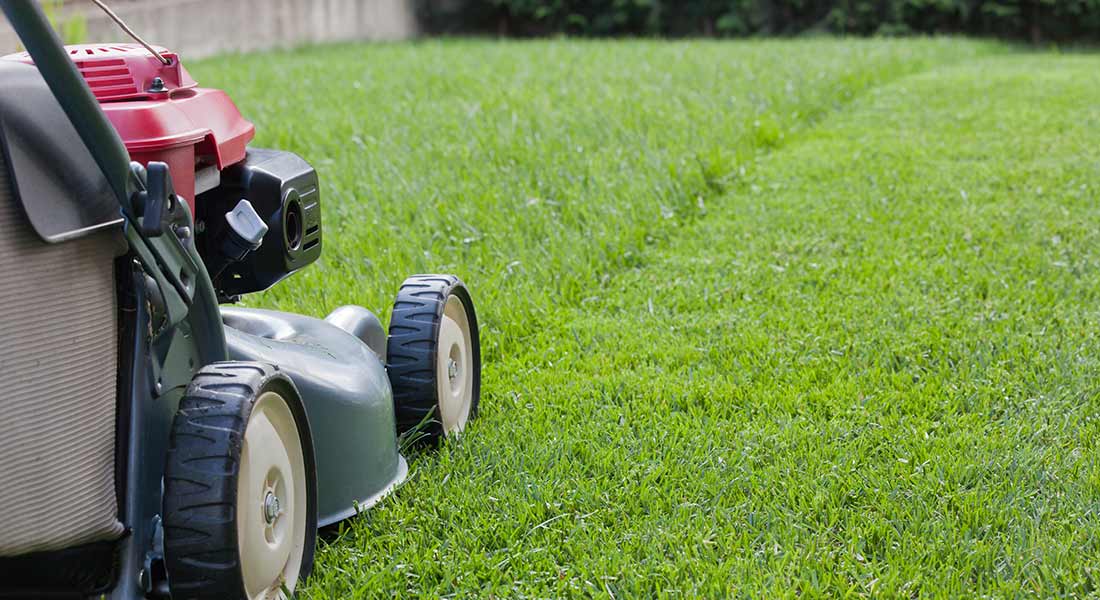 side view of lawnmower next to grass, how to start a successful lawn care business