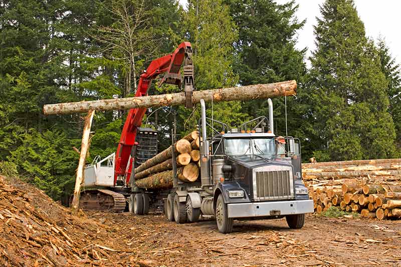heavy equipment loading logs onto truck, logging truck financing