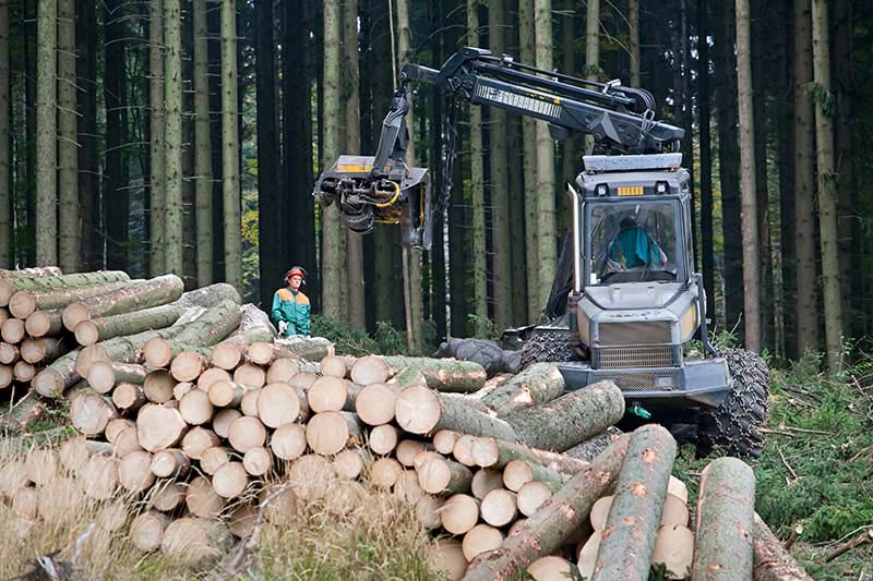 logging equipment lifting and moving timber at job site, logging equipment vendor financing